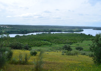 Laranjal