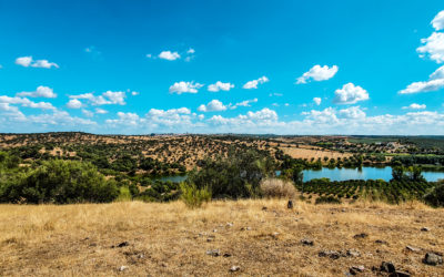 Rota Entre as Águas – 9,87km